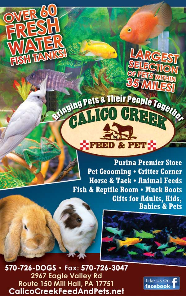 Calico Creek Feed & Pet <center>Calico Creek Feed & Pet | <b><a href="https://www.calicocreekfeedandpets.net" target="_blank" rel="noopener noreferrer">CLICK HERE to view the website</a></b></center>