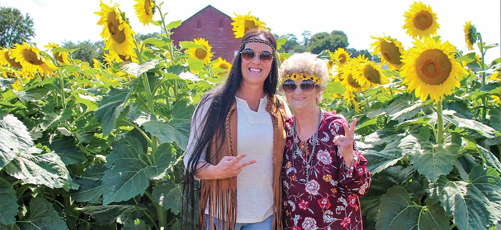 Sunflowers