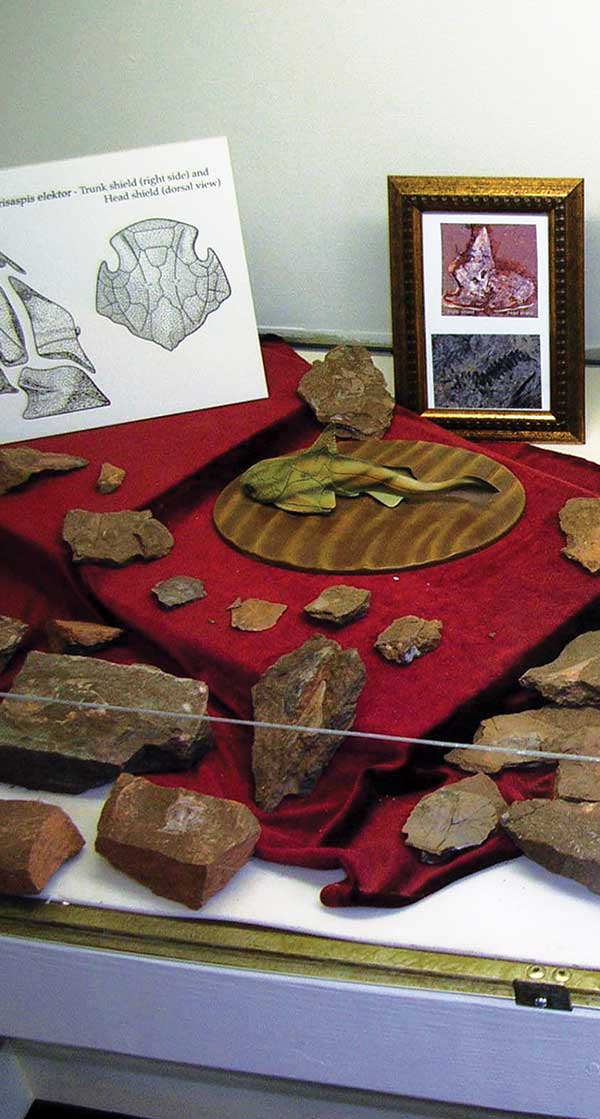 Red Hill Field Station Fossil Museum